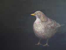 De lentevogel De lentevogel