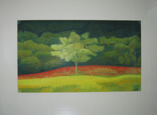 Toscaanse boom